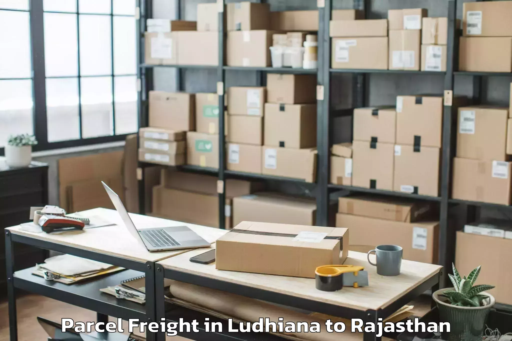 Easy Ludhiana to Madanganj Kishangarh Parcel Freight Booking